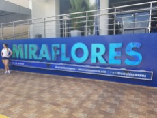 MiraFlores Locks